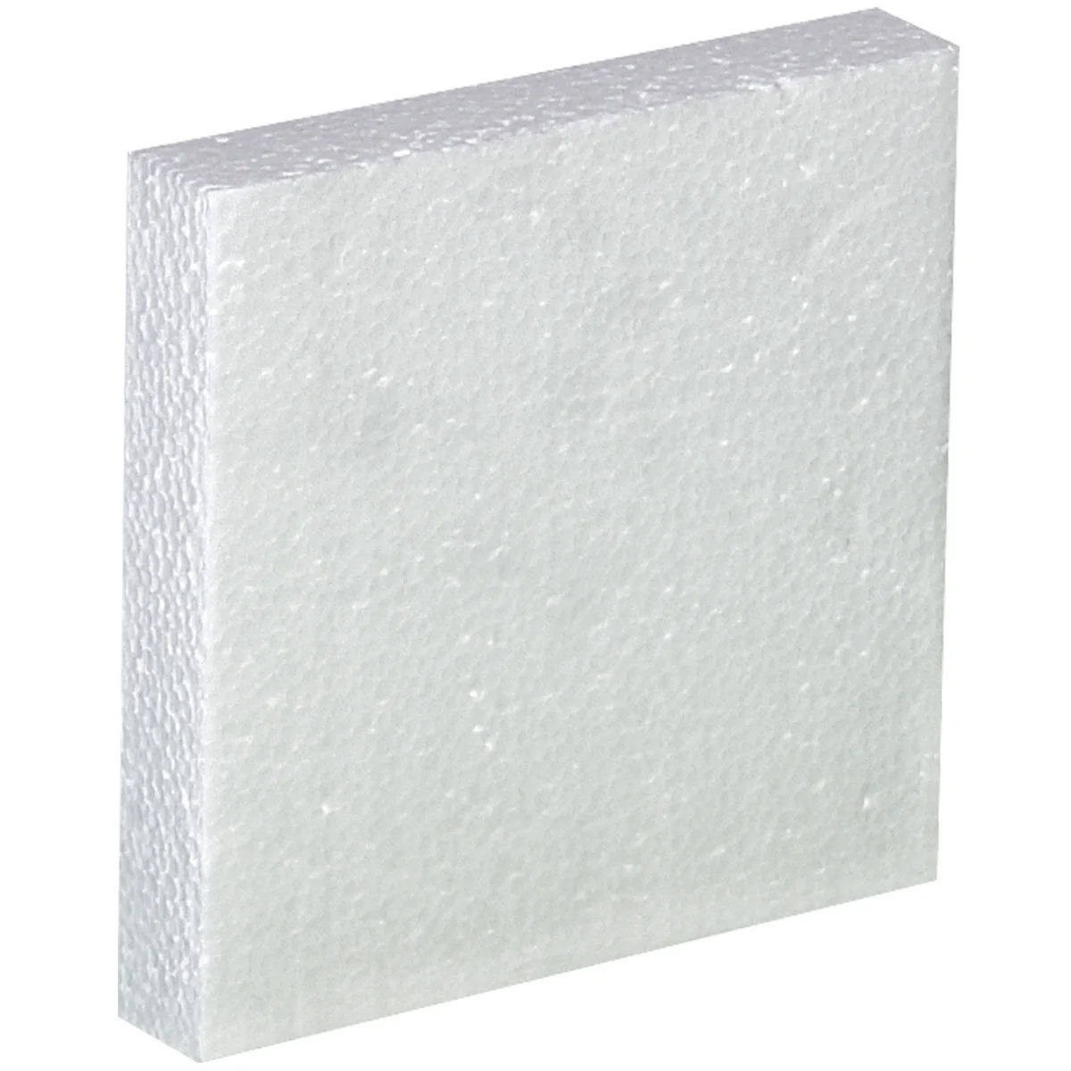 1 - 1 Gallon Plastic Jug Foam Insert