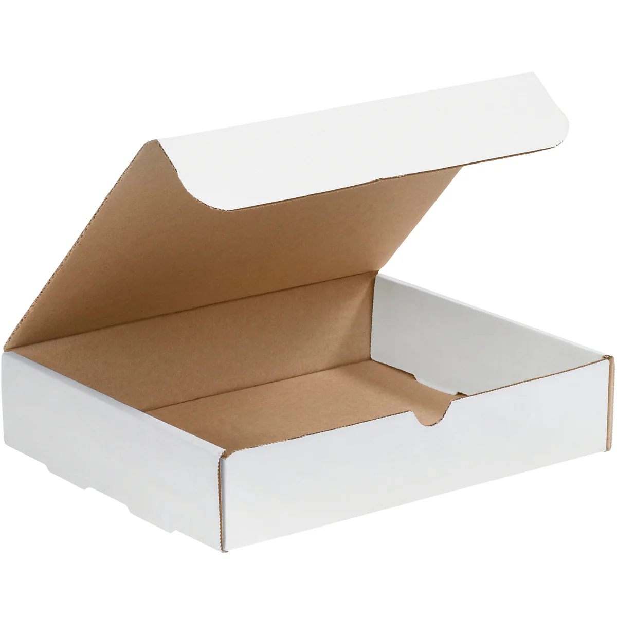 10 x 9 x 2 White Literature Mailers 50/Bundle