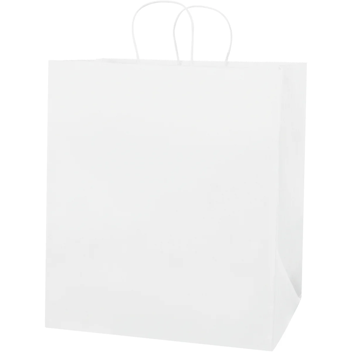 14 x 9 1/2 x 16 1/4 White Shopping Bags w/ Handles 200/Case