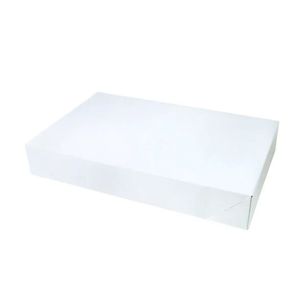 19 x 12 x 3 White Apparel Box - Matte Finish 50/Case