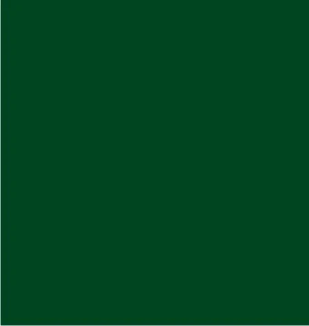 24" x 417 Feet Forest Green Half Ream Gift Wrap