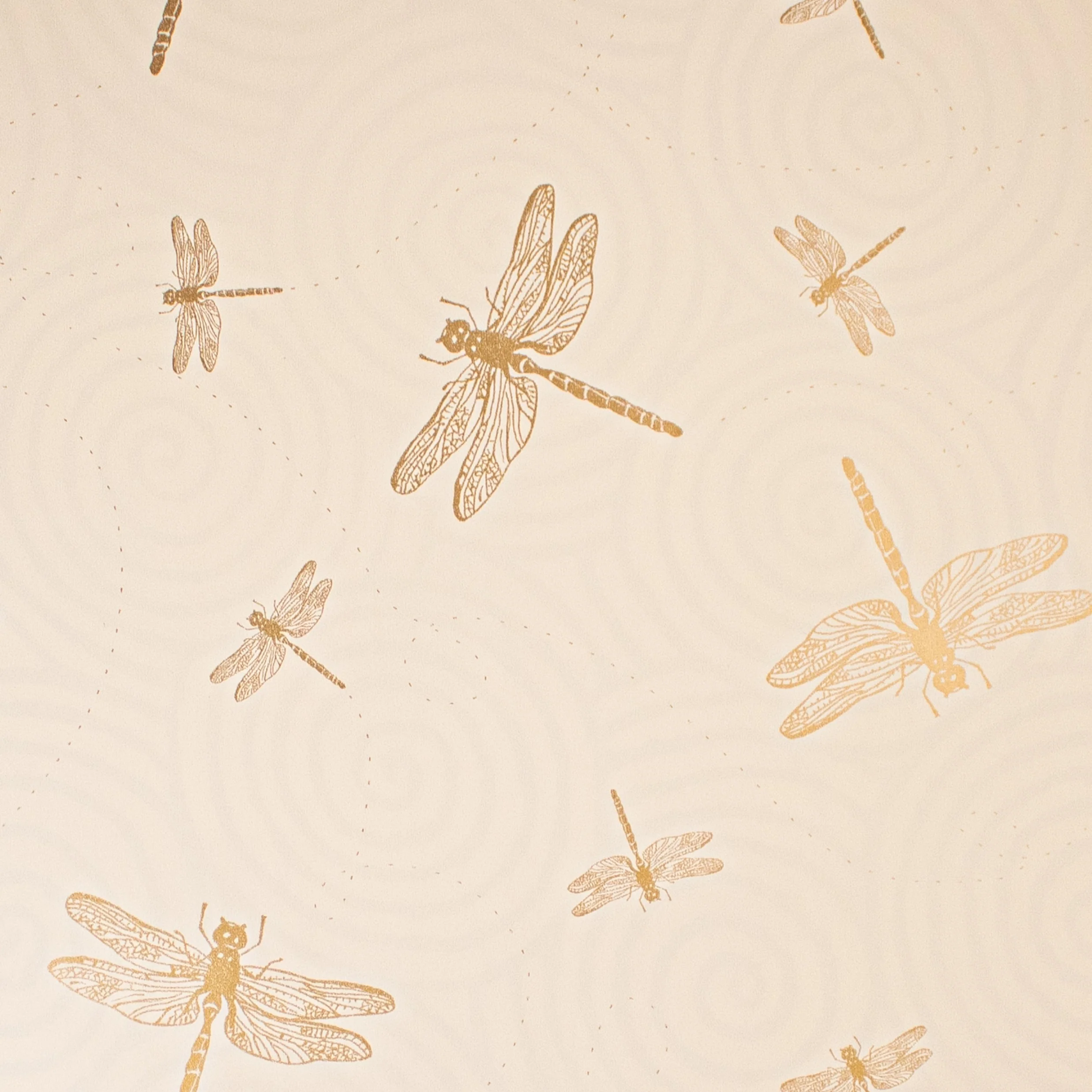 24" x 833 Feet Dragonflies-Swirls Full Ream Gift Wrap - Image 3