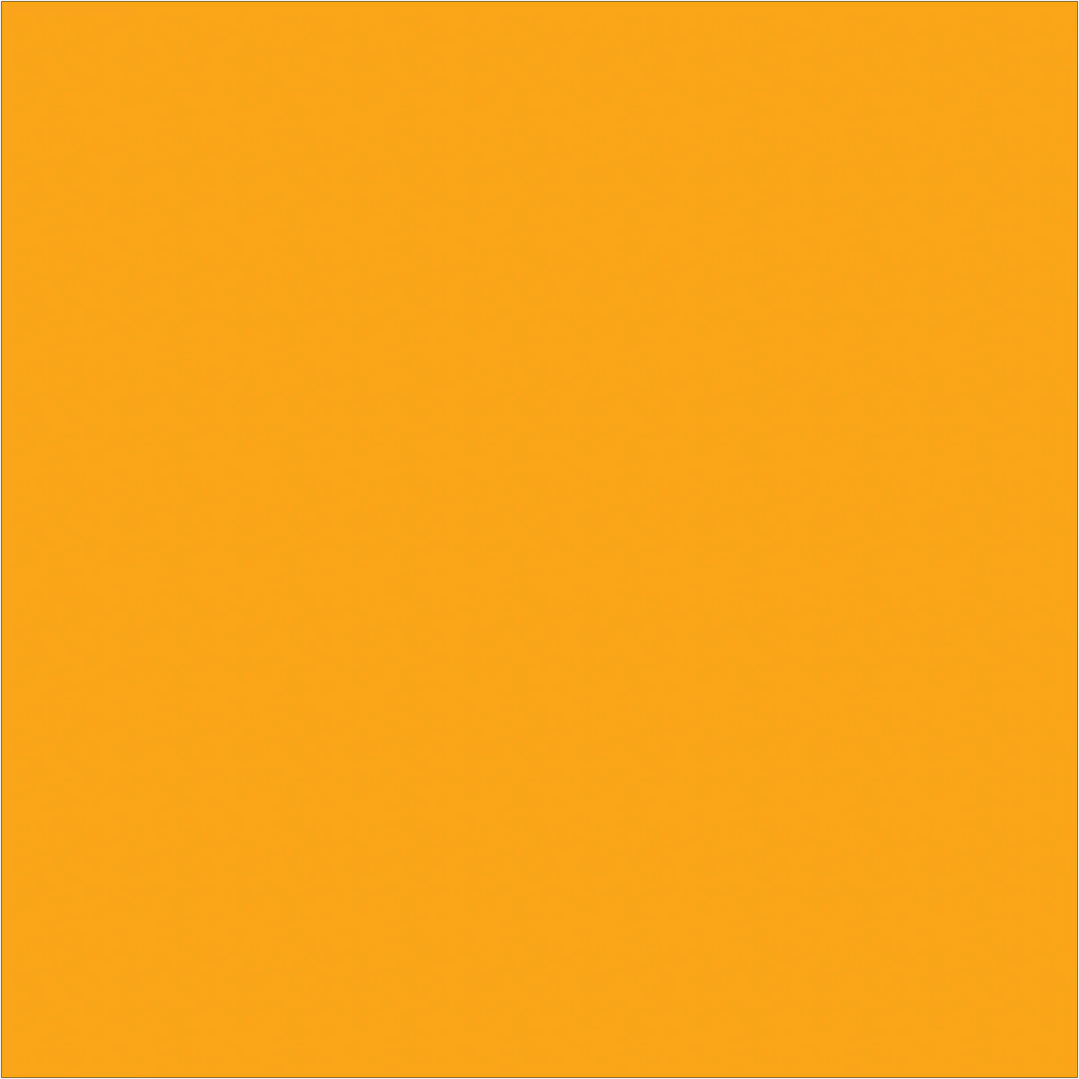 4 x 4" Fluorescent Orange Inventory Rectangle Labels 500/Roll