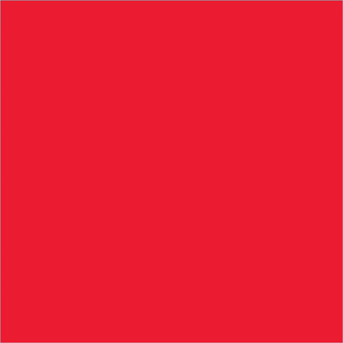 4 x 4" Fluorescent Red Inventory Rectangle Labels 500/Roll
