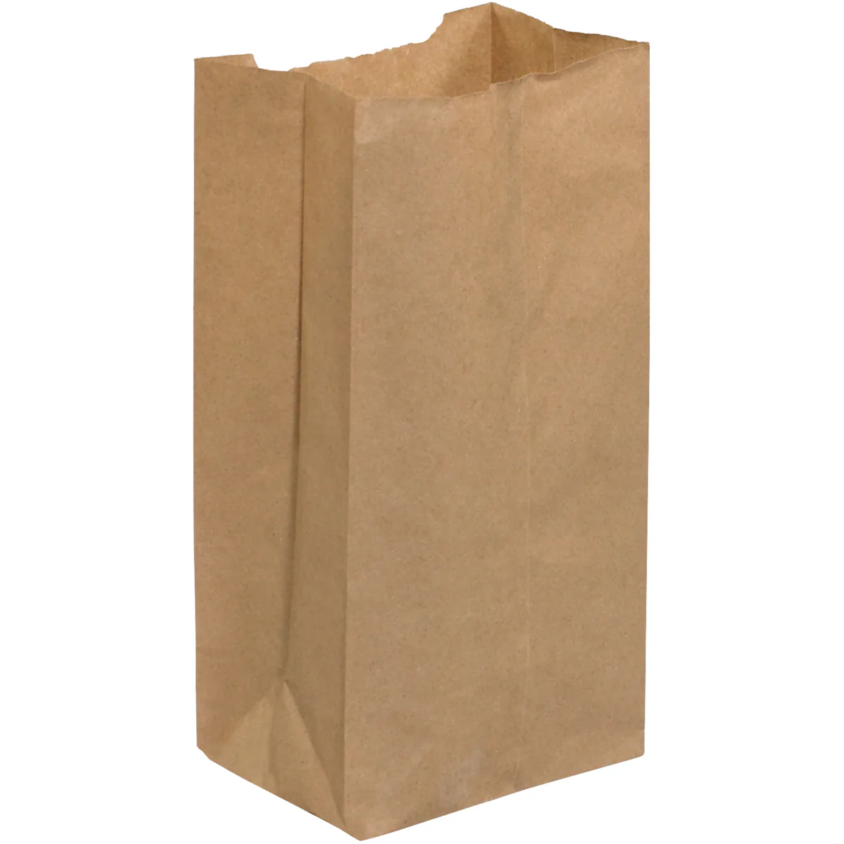 5 x 3 1/4 x 9 3/4 Kraft Paper Grocery Bags 500/Case