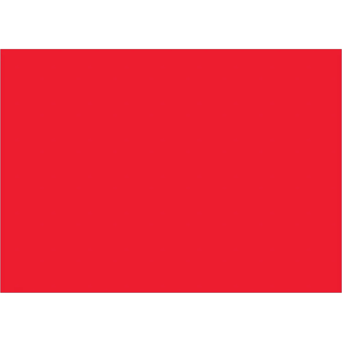 5 x 7" Fluorescent Red Inventory Rectangle Labels 500/Roll