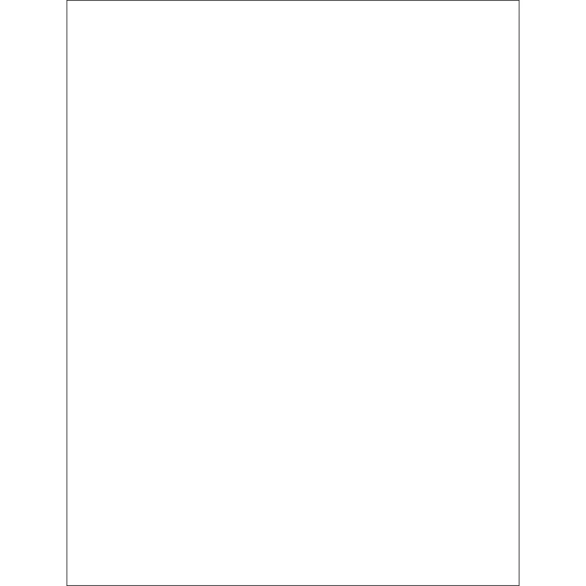 8 1/2 x 11" White Rectangle Laser Labels - Master Case 1000/Case