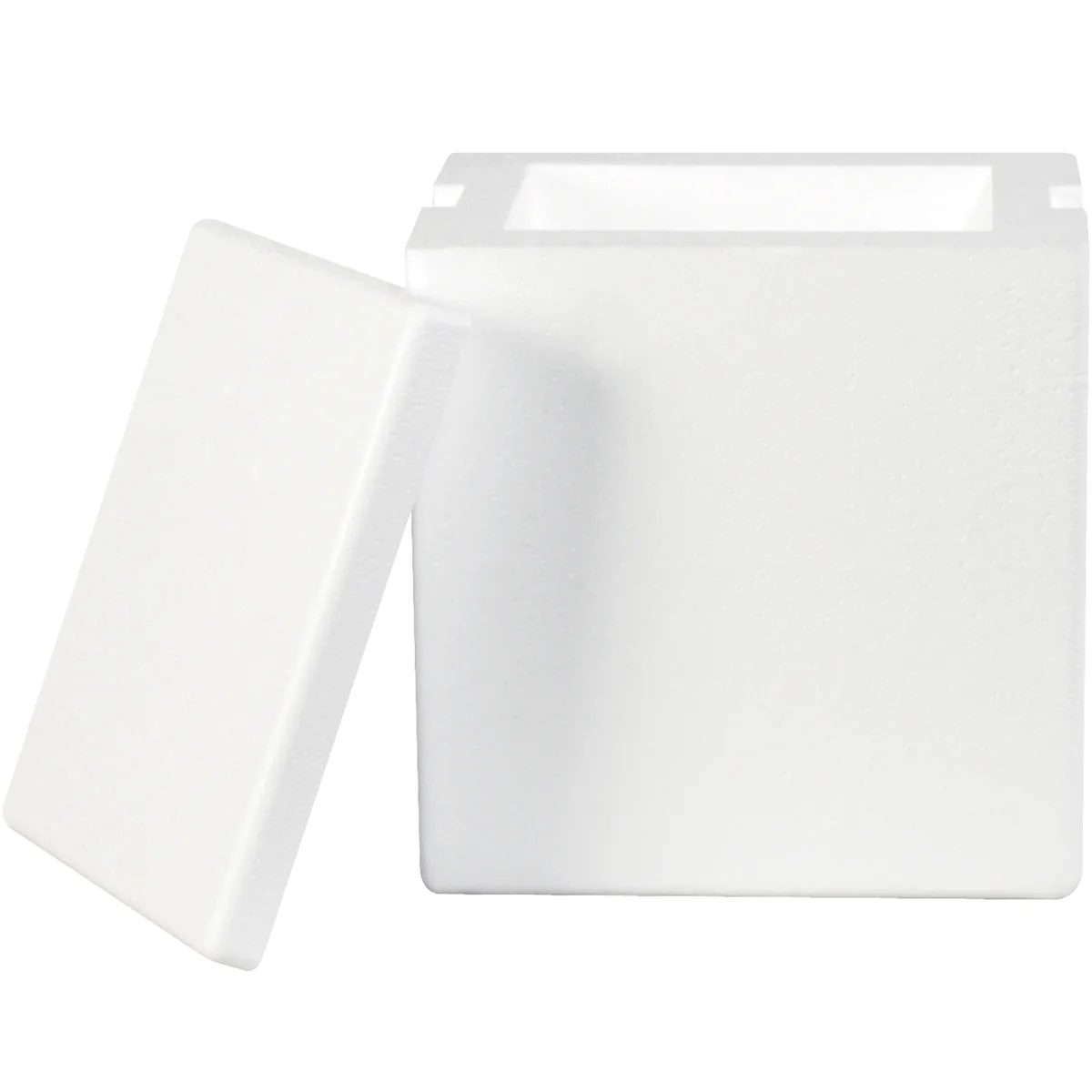 8 x 6 x 9 Insulated Foam Containers 8/Case