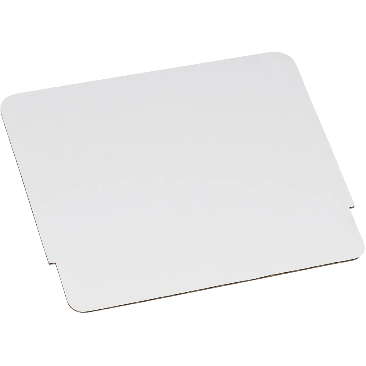 Literature Counter Display White Header Cards 10/Bundle